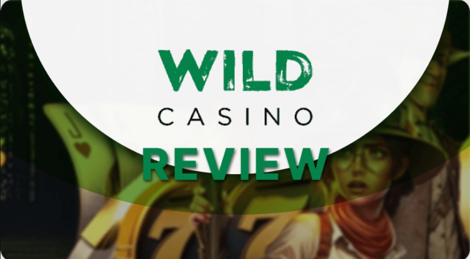 Description of Wild Casino Features and Functionality 1