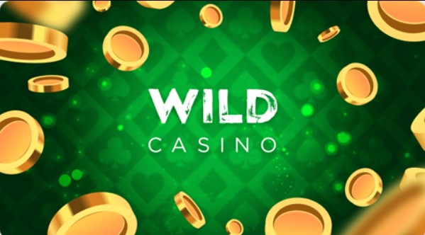 Description of Wild Casino Features and Functionality 2