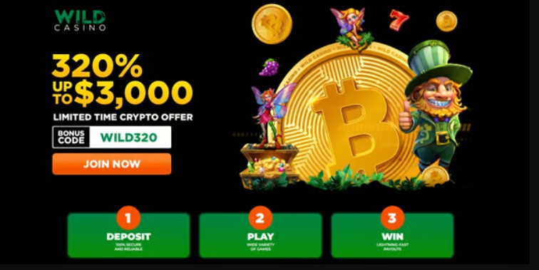 Wild Casino Bonus 1