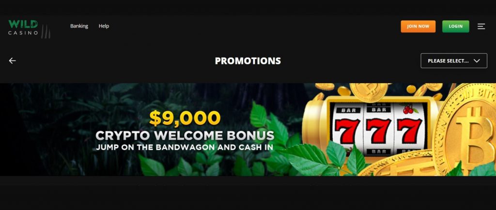 Wild Casino No Deposit Bonus 2